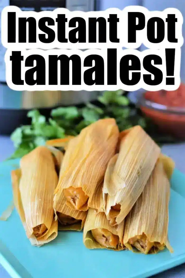 Reheat Steam Tamales in Instant Pot Ninja Foodi Frozen Tamales