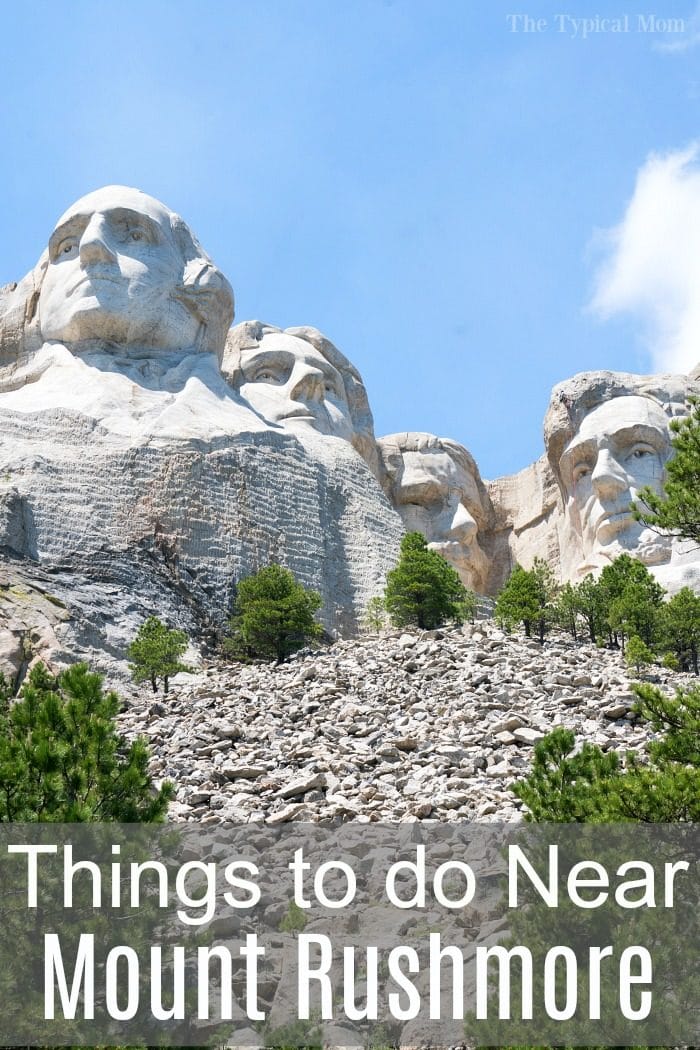 Homeschool Field Trips Field Trip Ideas for Homeschool Families