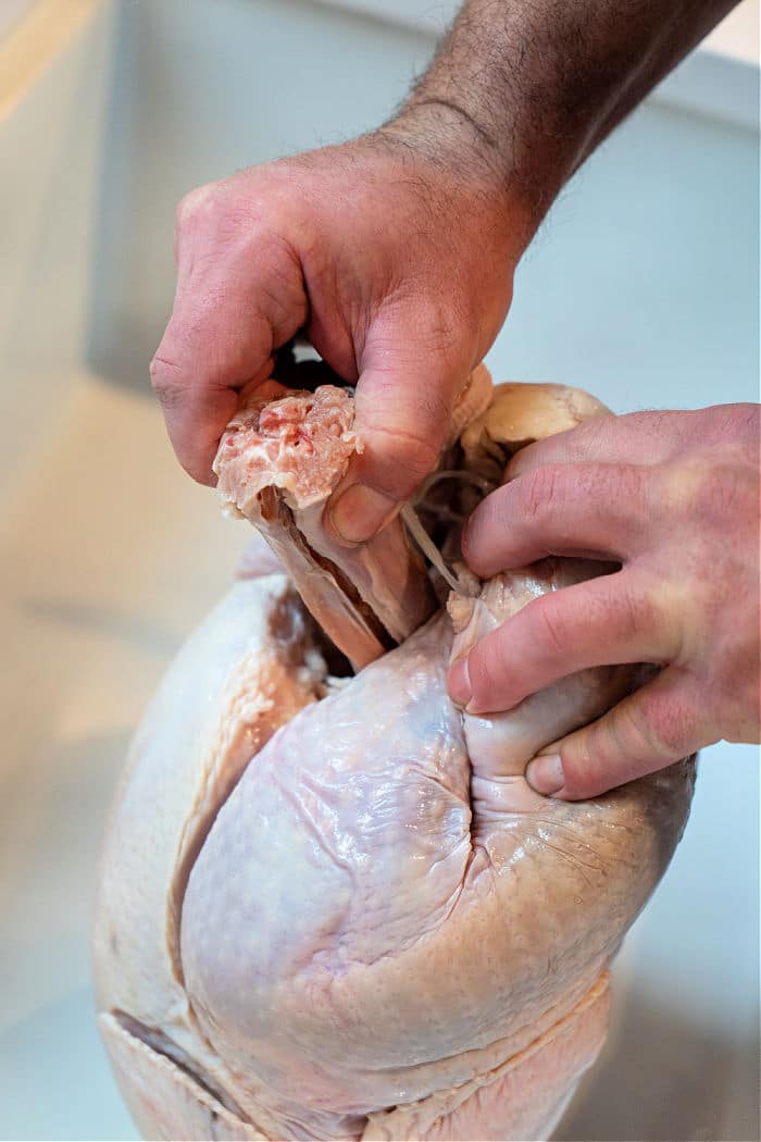 Can Dogs Eat Cooked Turkey Necks