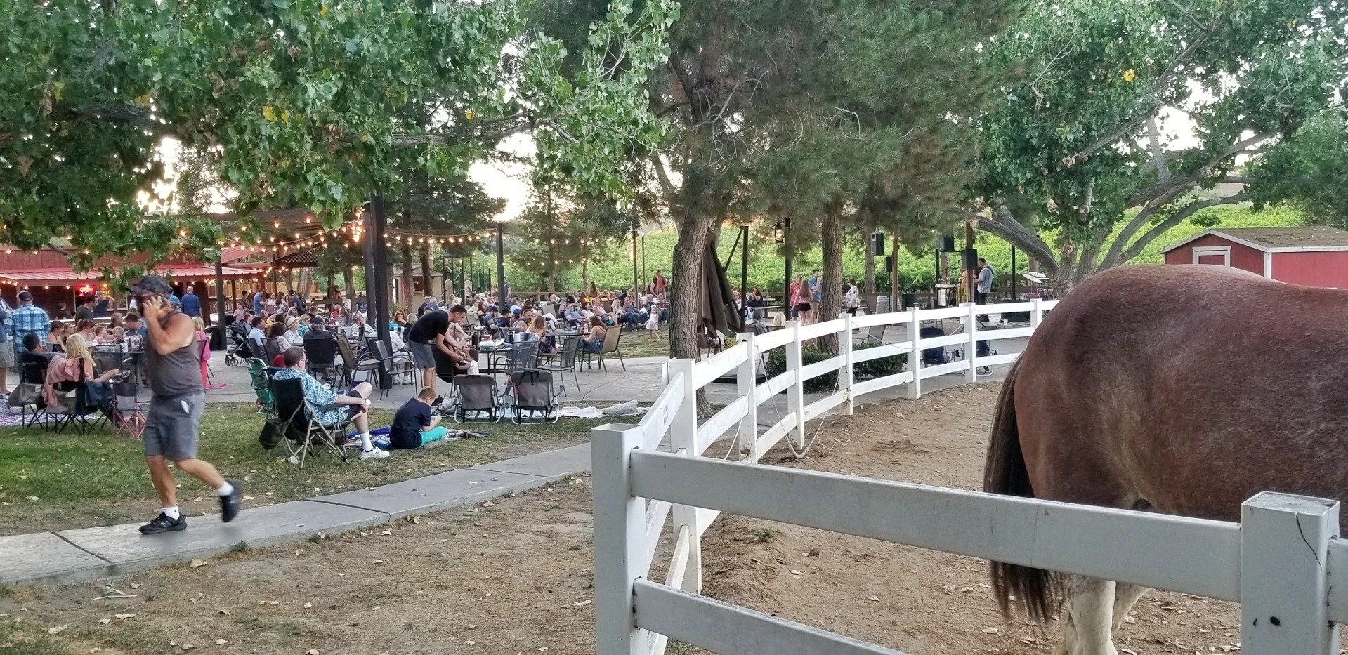 Longshadow Ranch Winery, Temecula CA Temecula Business Directory