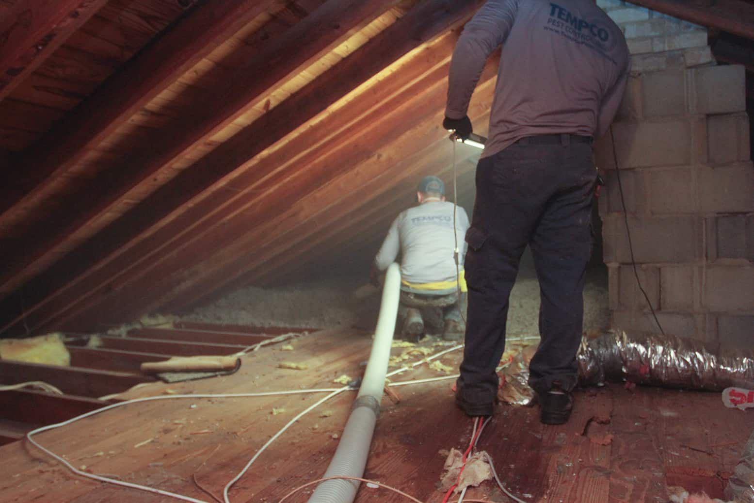 Attic Restoration Tempco Pest Control, Inc.
