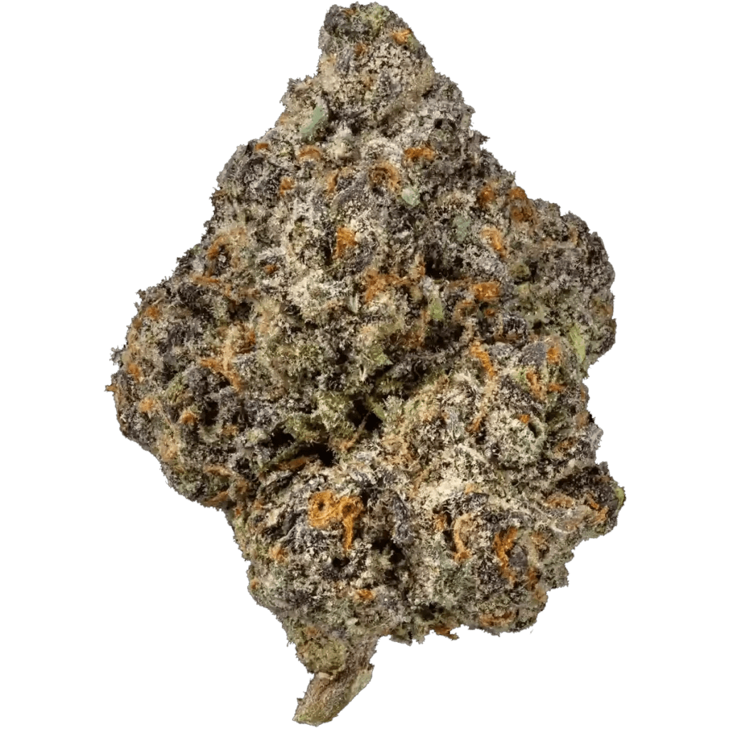 Cookies Dispensary Tempe AZ Cookies Cannabis near me