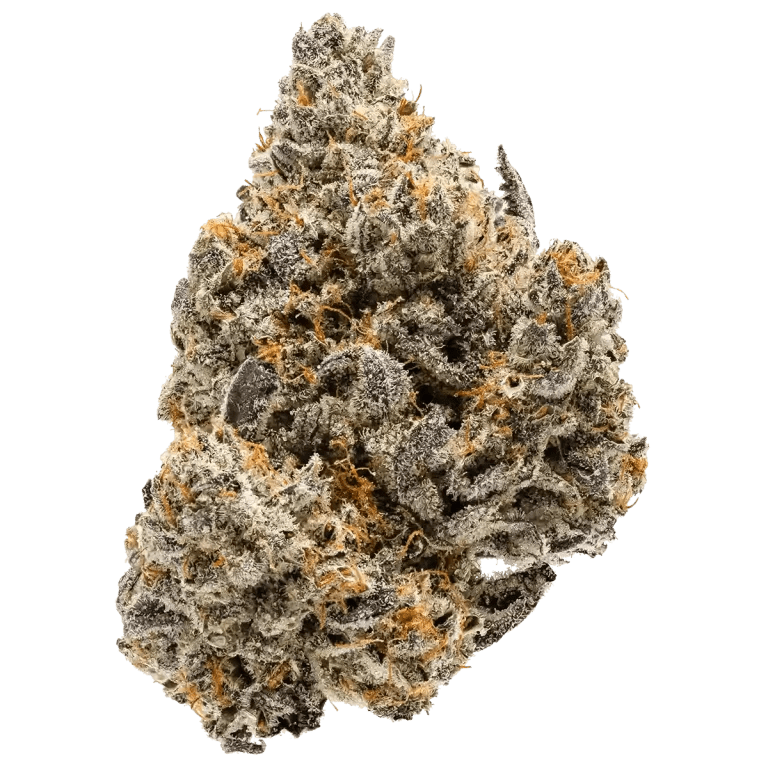 Cookies Dispensary Tempe AZ Cookies Cannabis near me