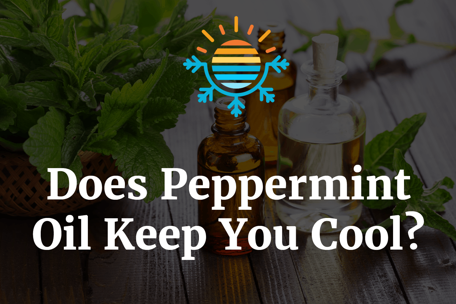 Insulating Power of Styrofoam Does it Keep Things Warm?