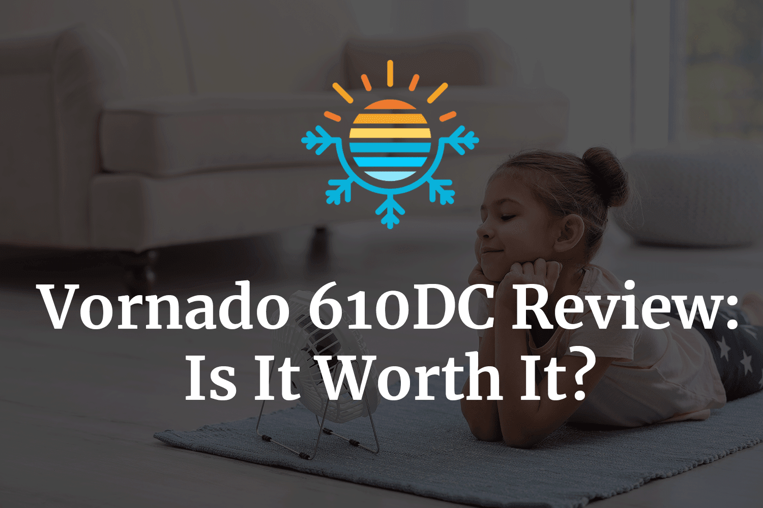 Vornado 610DC Review: Is It a Worthy Investment?