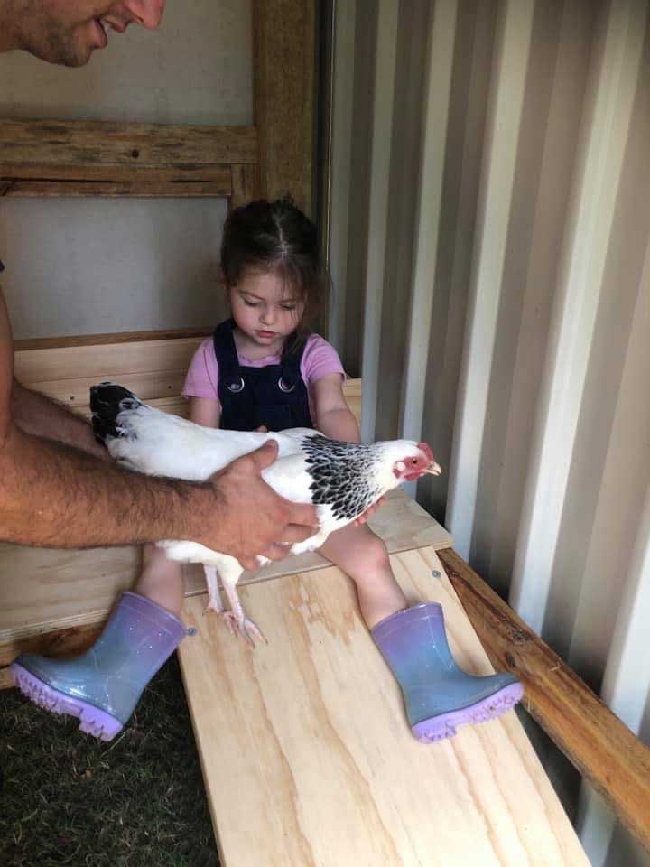 Supporting the RSPCA QLD Temper Troops