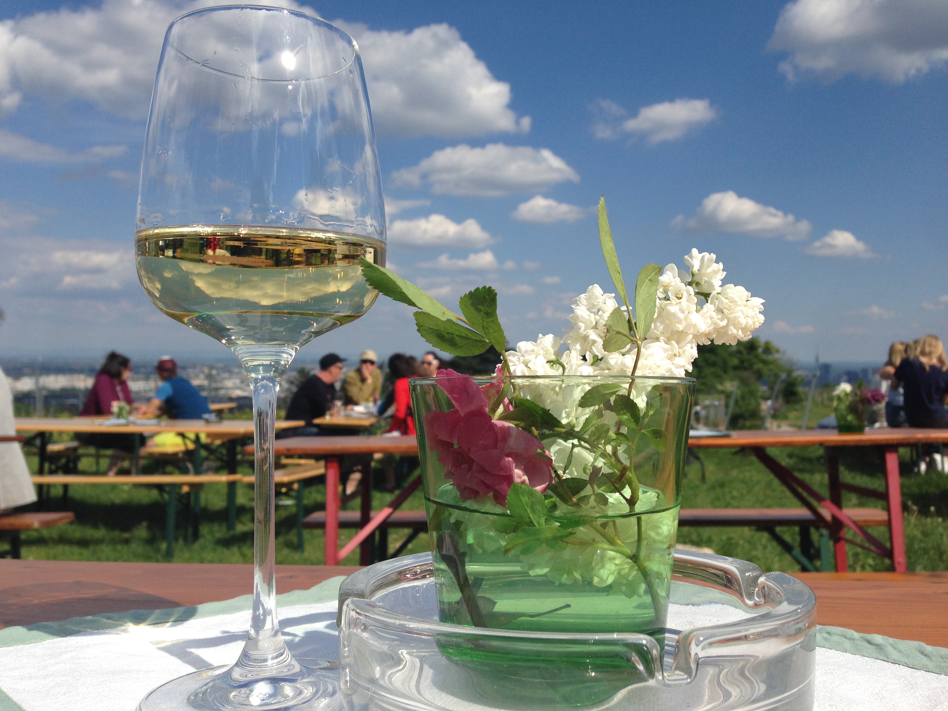 beer gardens in Vienna A Tempest in a Tankard