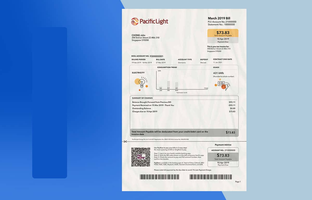 Singapore Utility Bill PSD Template Proof of address