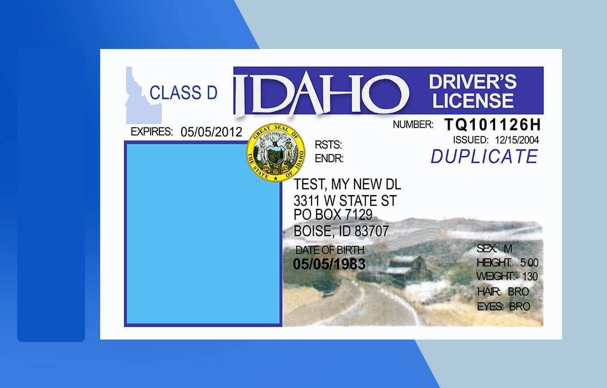 Idaho Drivers License PSD Template Download File