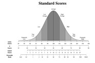 Understanding The Average Iq Chart By Age Kadinsalyasam