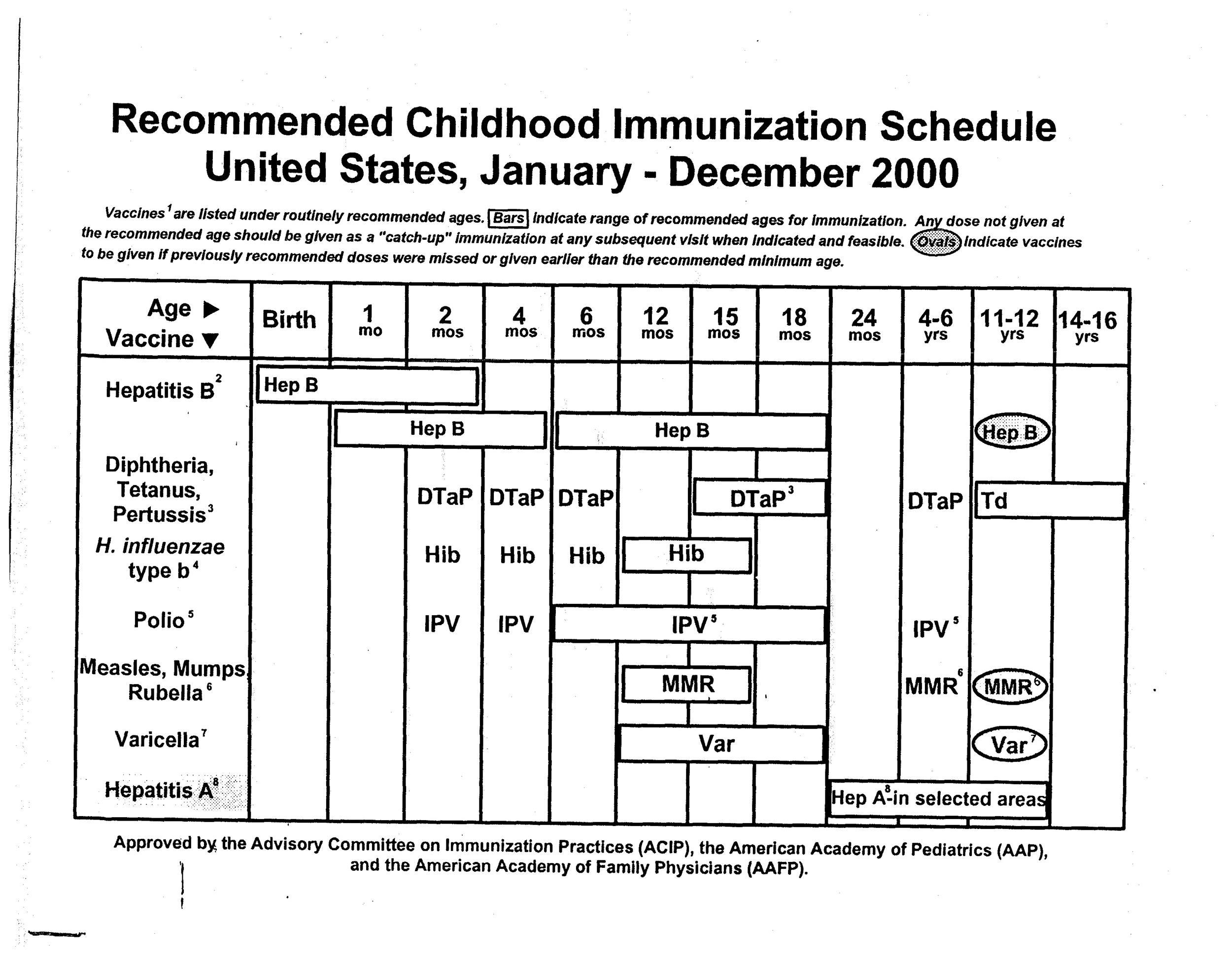 What is the immunization schedule for the hepatitis B vaccine