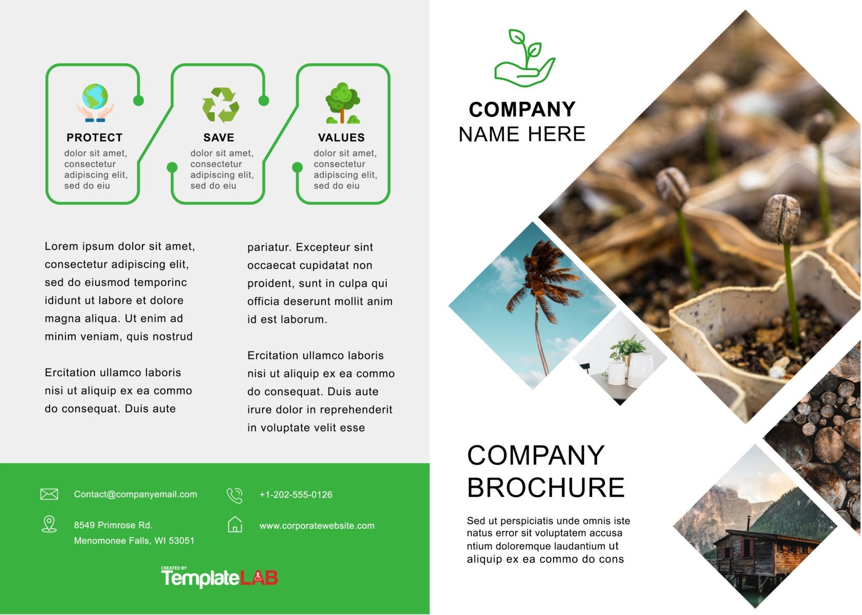 33 FREE Brochure Templates (Word + PDF) ᐅ TemplateLab