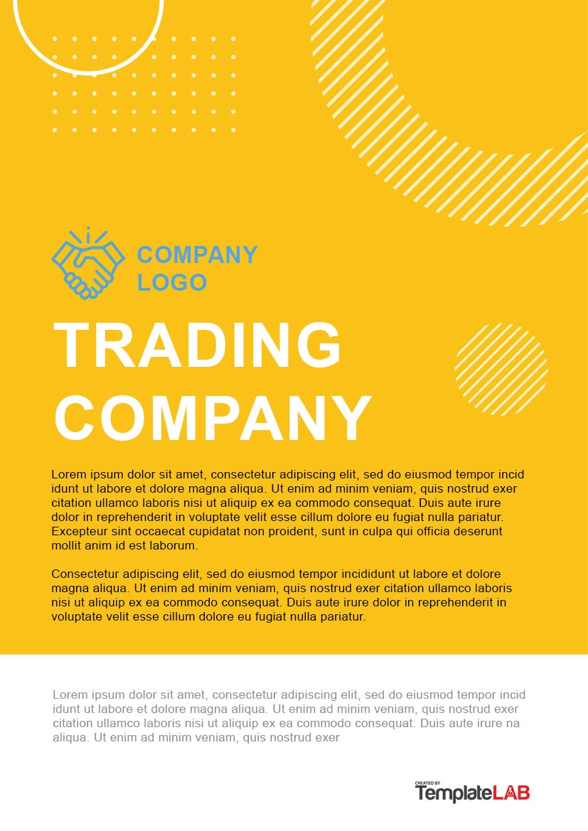 28 Professional Company Profile Templates [Word, PowerPoint, PDF]