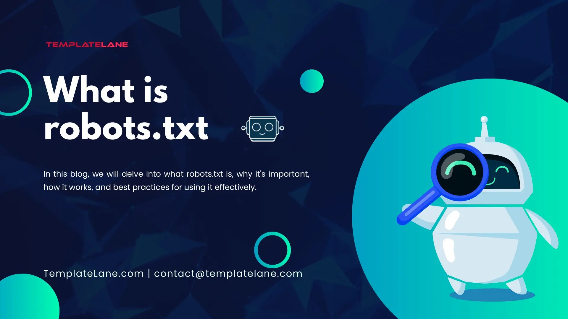What is robots.txt Why it is too Important? TemplateLane