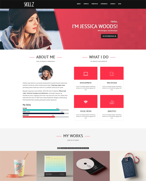 5 of the Best CV, Resume, & vCard WordPress Themes down