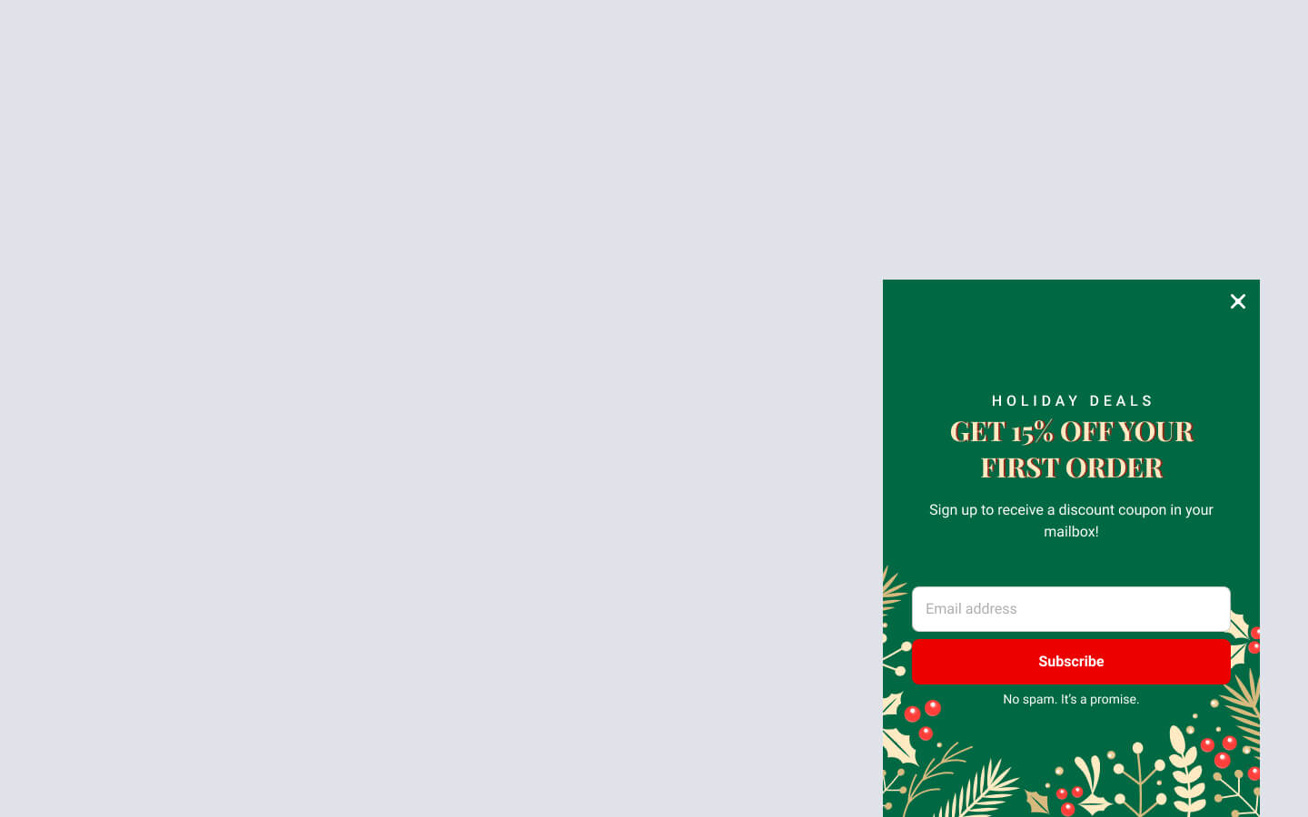 Happy Holidays Discount Coupon Popup Template