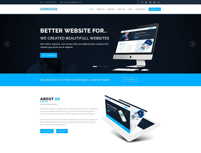WordPress Themes