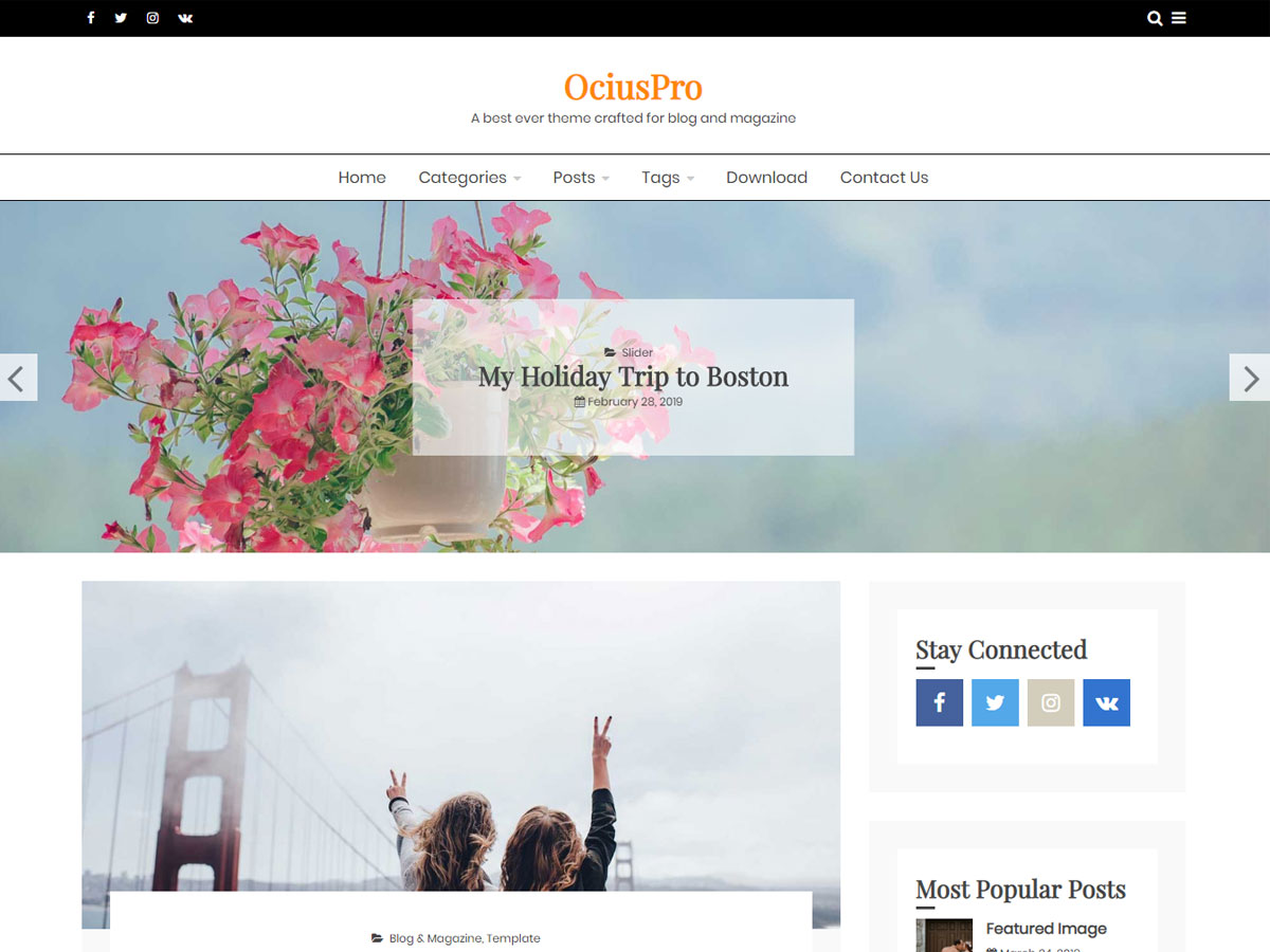 WordPress Themes