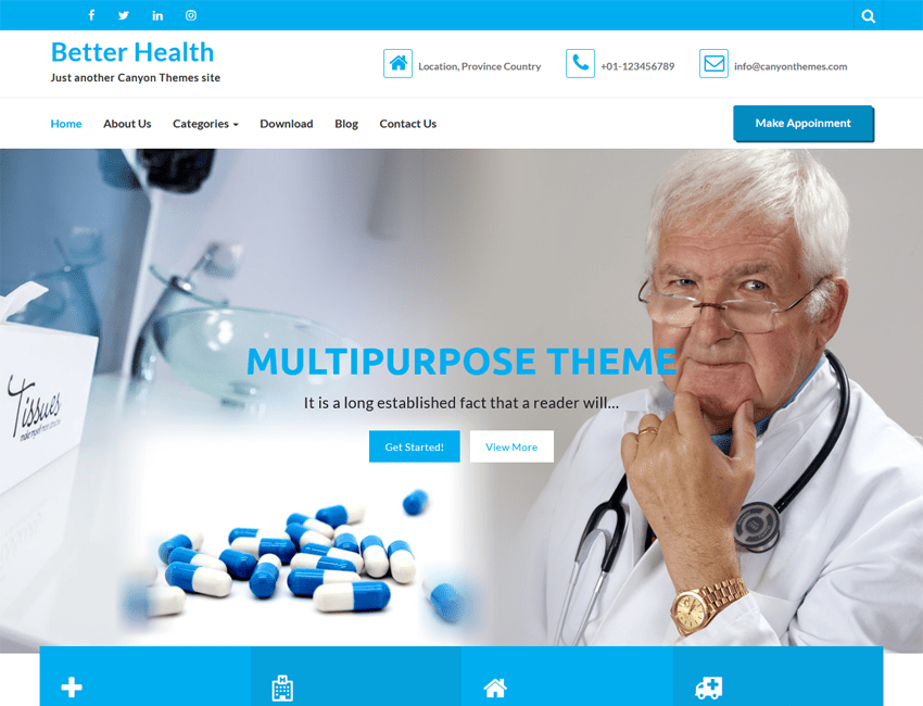 WordPress Themes
