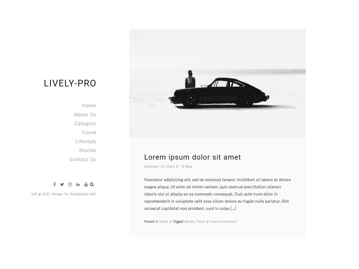 WordPress Themes