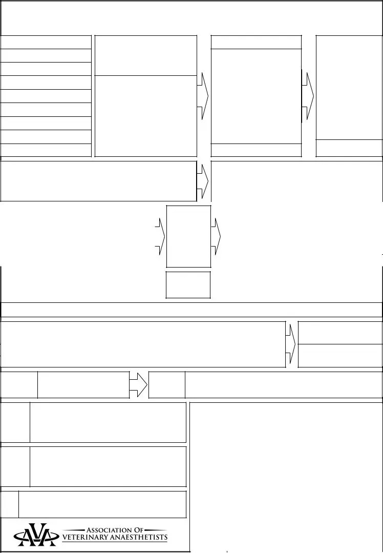 Blank Anesthesia Record Template Fill Out and Print PDFs