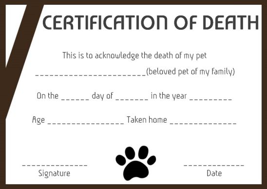 10+ Death Certificate Template: Important Facts and Free Downloads in