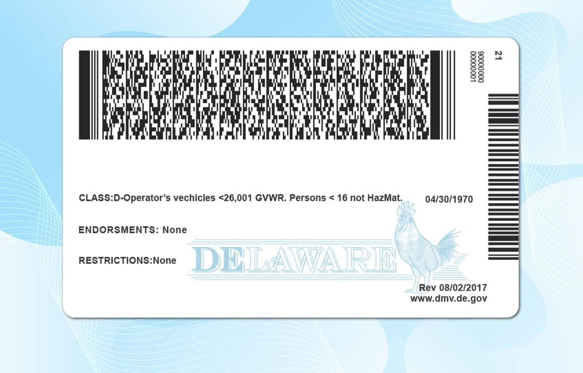 Delaware Drivers License Template (New) PSD File
