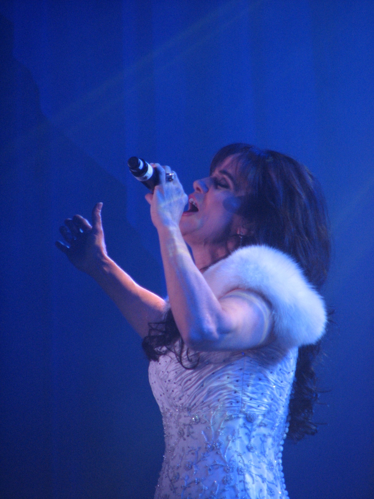 Louise Mandrell Christmas Dinner And Show Nashville 2009Louise Mandrell Show Temple Young at Heart Travels