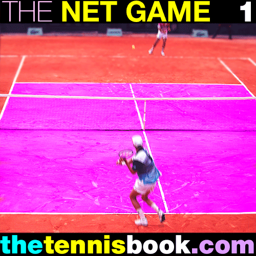 Tennis The Net Game evvy evvy