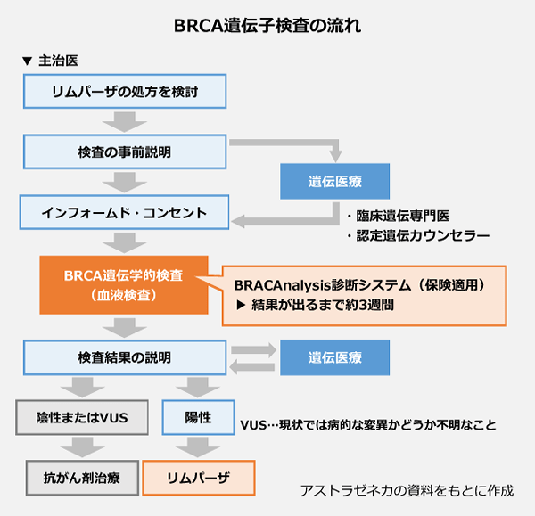 乳がん治療薬リムパーザが問う 遺伝性がん診療の課題 AnswersNews