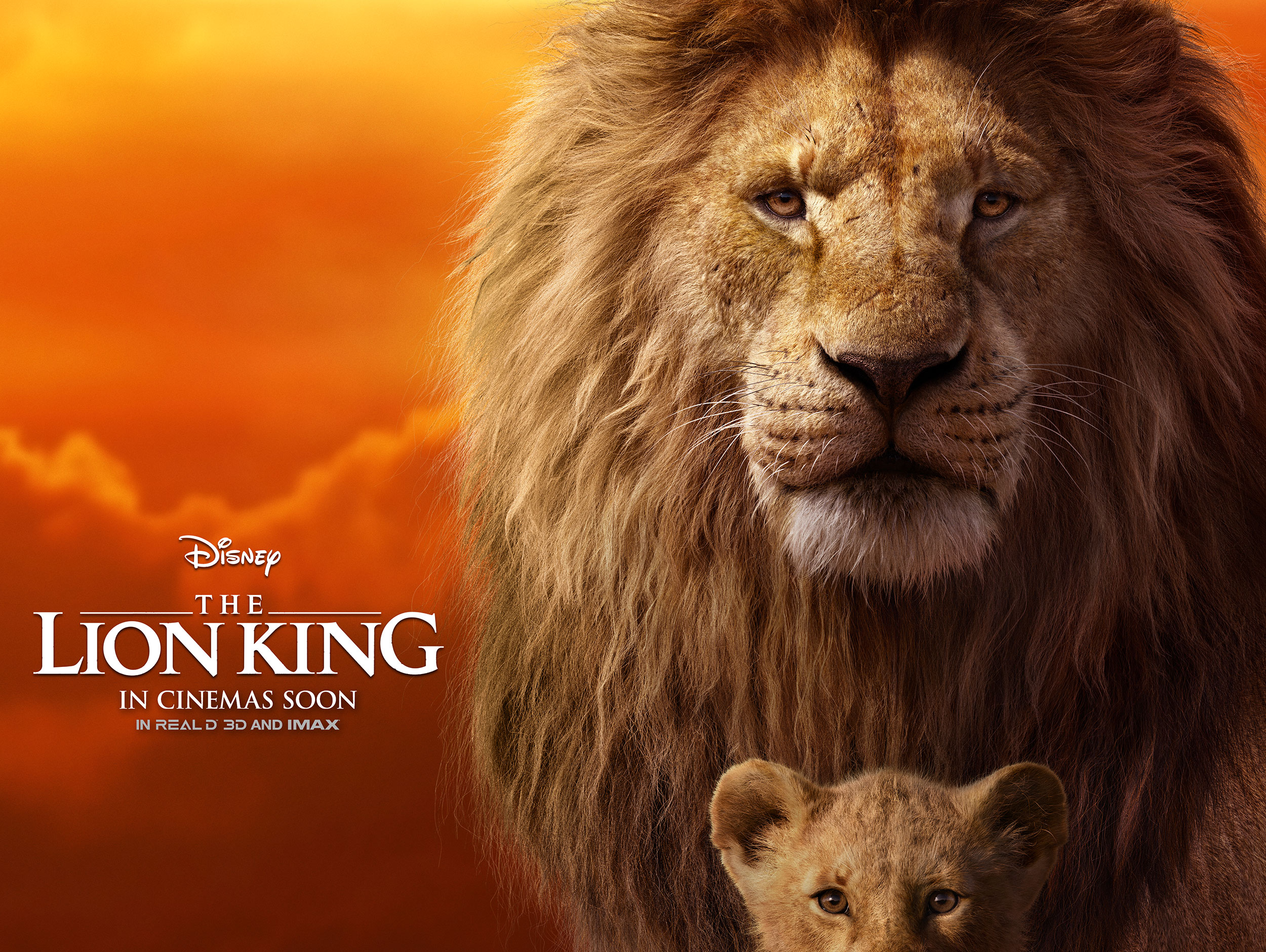 THE LION KING Ten30 Studios