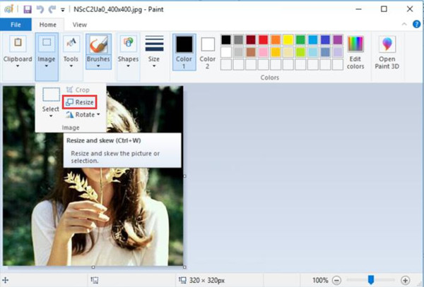 2 Ways to Resize Photos (JPEG, PNG, GIF) in Windows 10