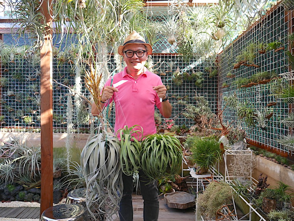 Singapore Garden Stories Air plant artisan Daniel Goh