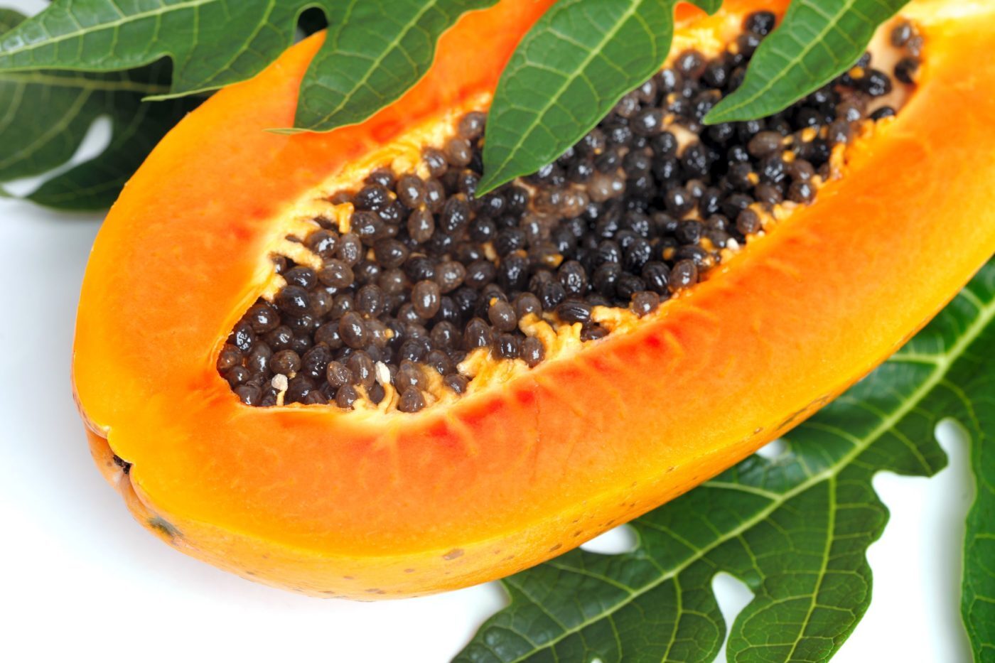La mejor papaya del mundo se cultiva en Canarias Agenda del Ocio Tenerife