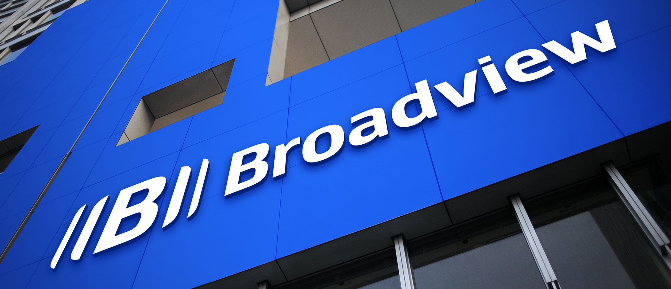 Broadview Partners Where brand meets innovation®