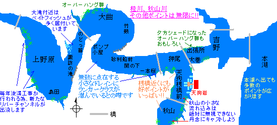 相模湖 天狗岩ブラックバス釣り・バスフィッシング。レンタルボート釣果。