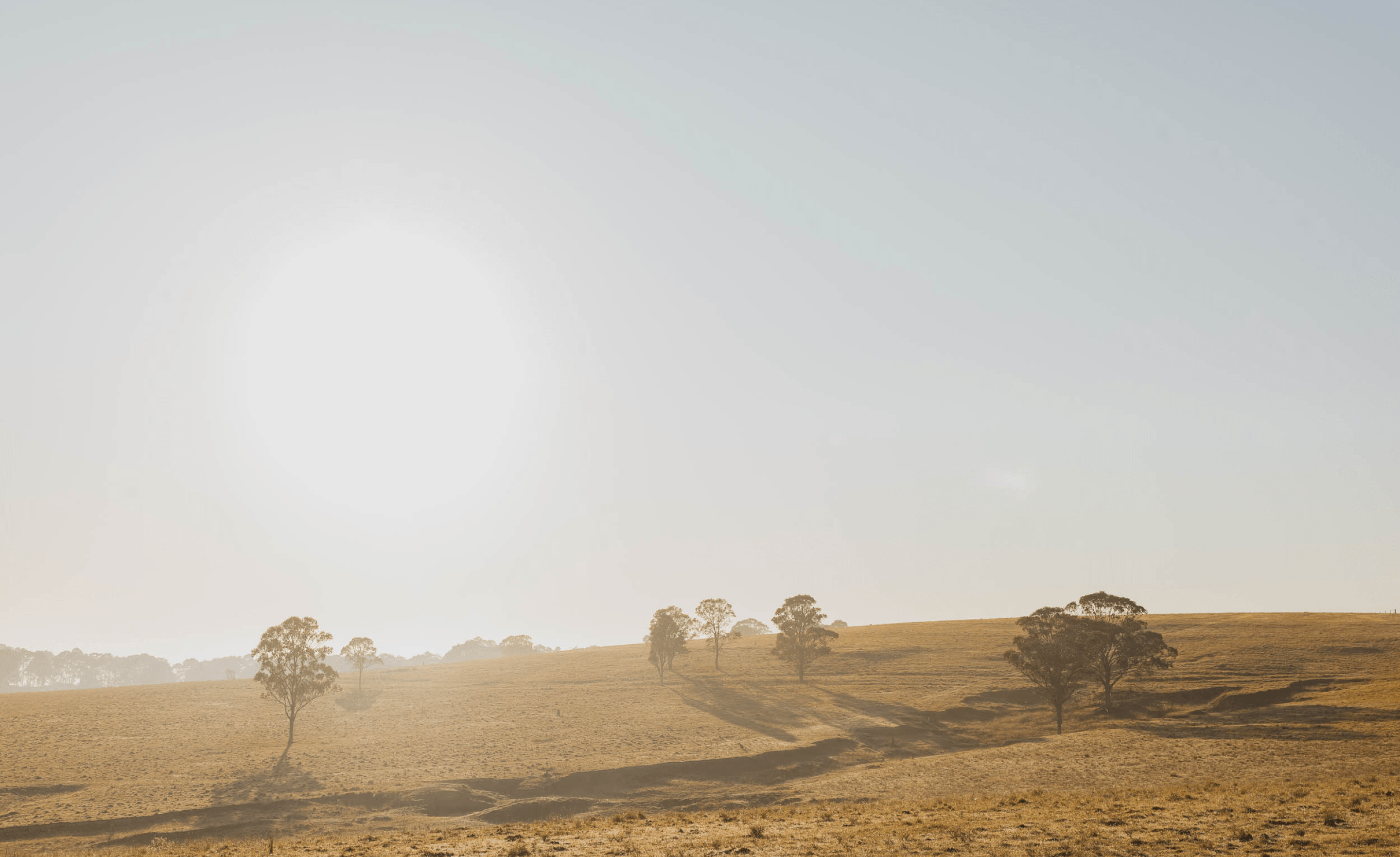 Tenison Heights in Lochinvar House & Land Packages For Sale