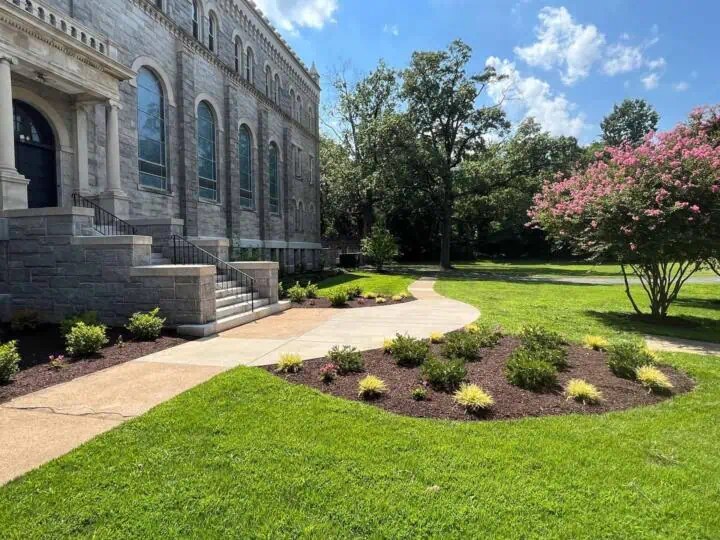 Landscaping in Silver Spring Tenleytown Lawn & Landscape