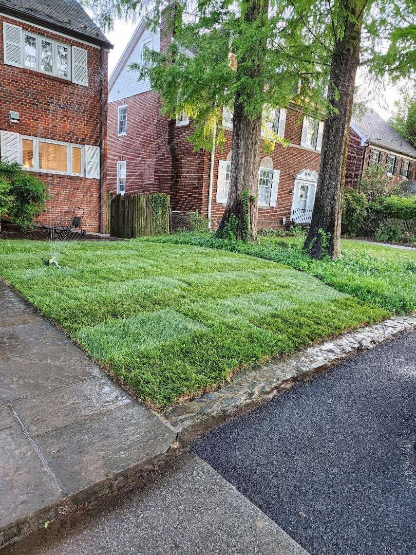 Sod Installation at a Beautiful Chevy Chase Property Tenleytown Lawn