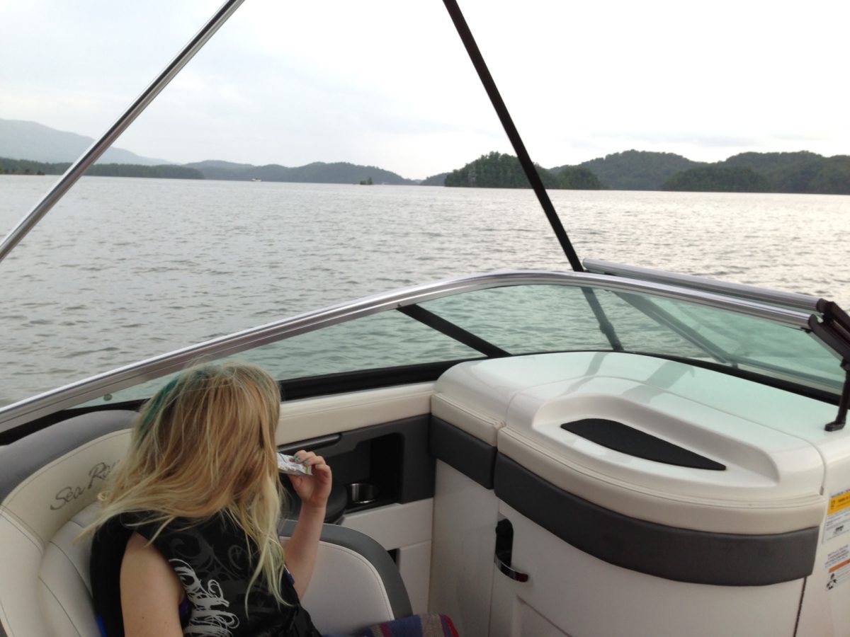 South Holston Lake The Ultimate Guide