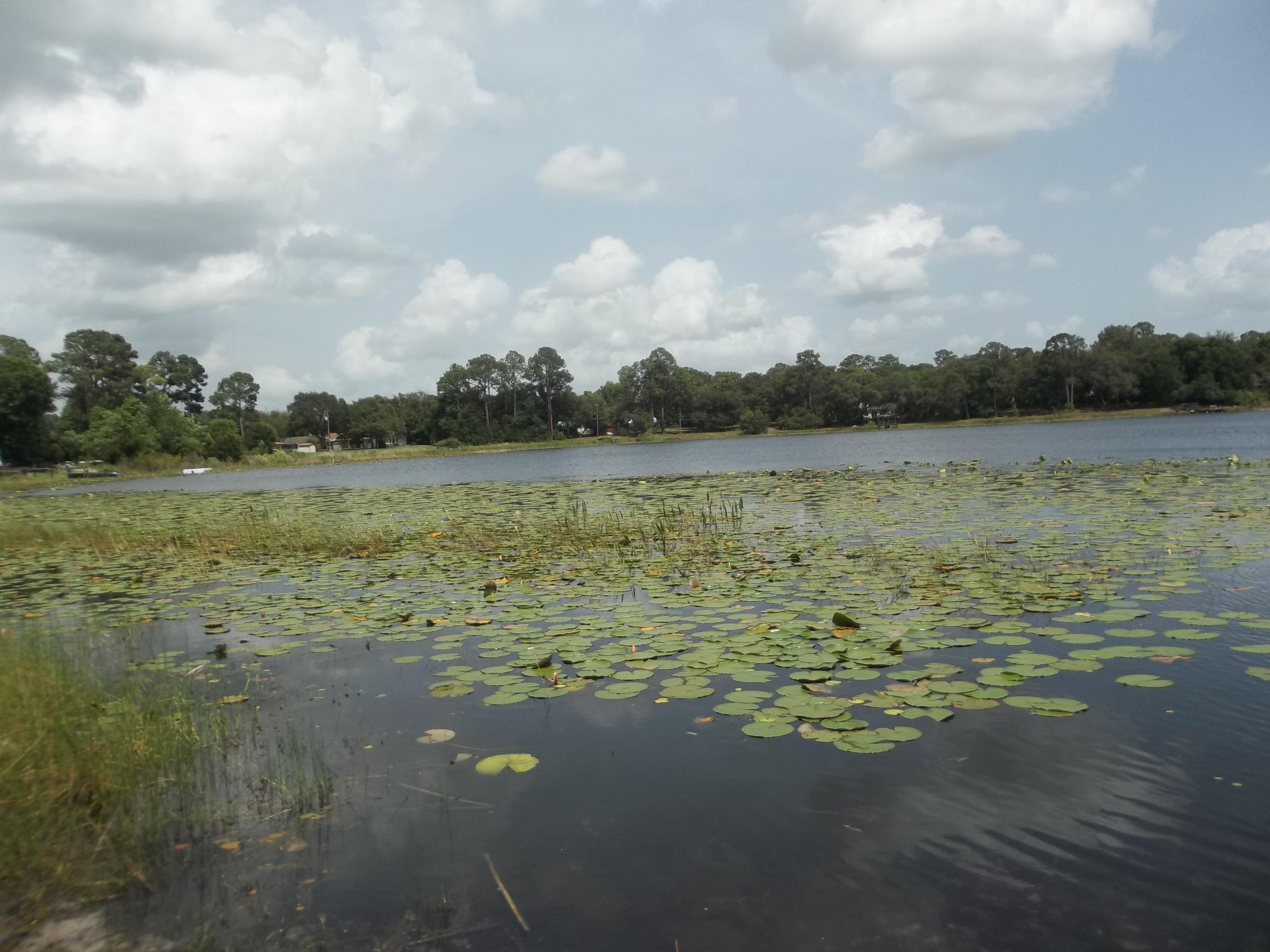 Miles Kayle Lake Orange Springs Florida Tennessee Bass Guides