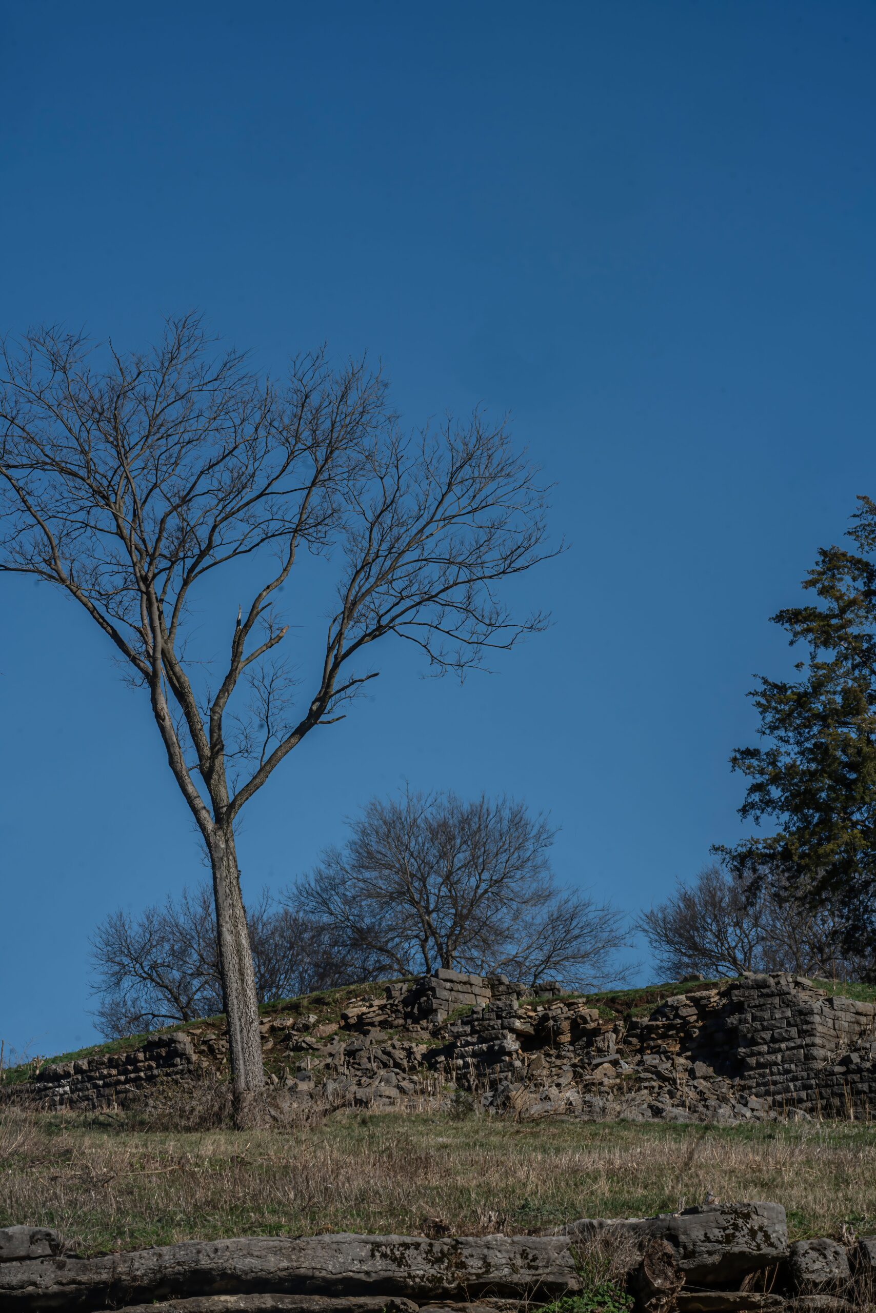 Building on years of archival work to uncover Nashville’s Black history