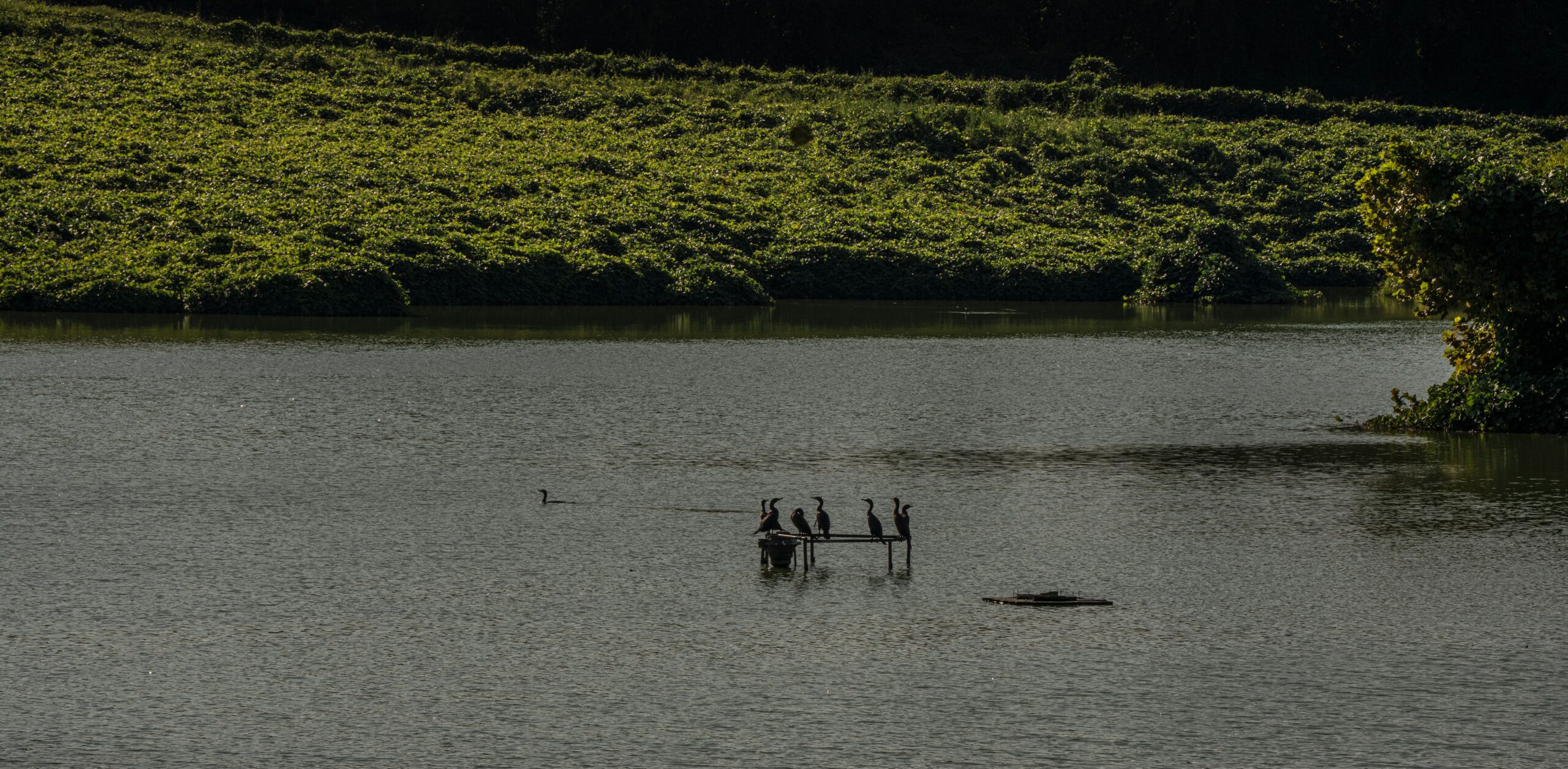 Maury County Superfund Site Eyed As Destination For Middle TN Trash