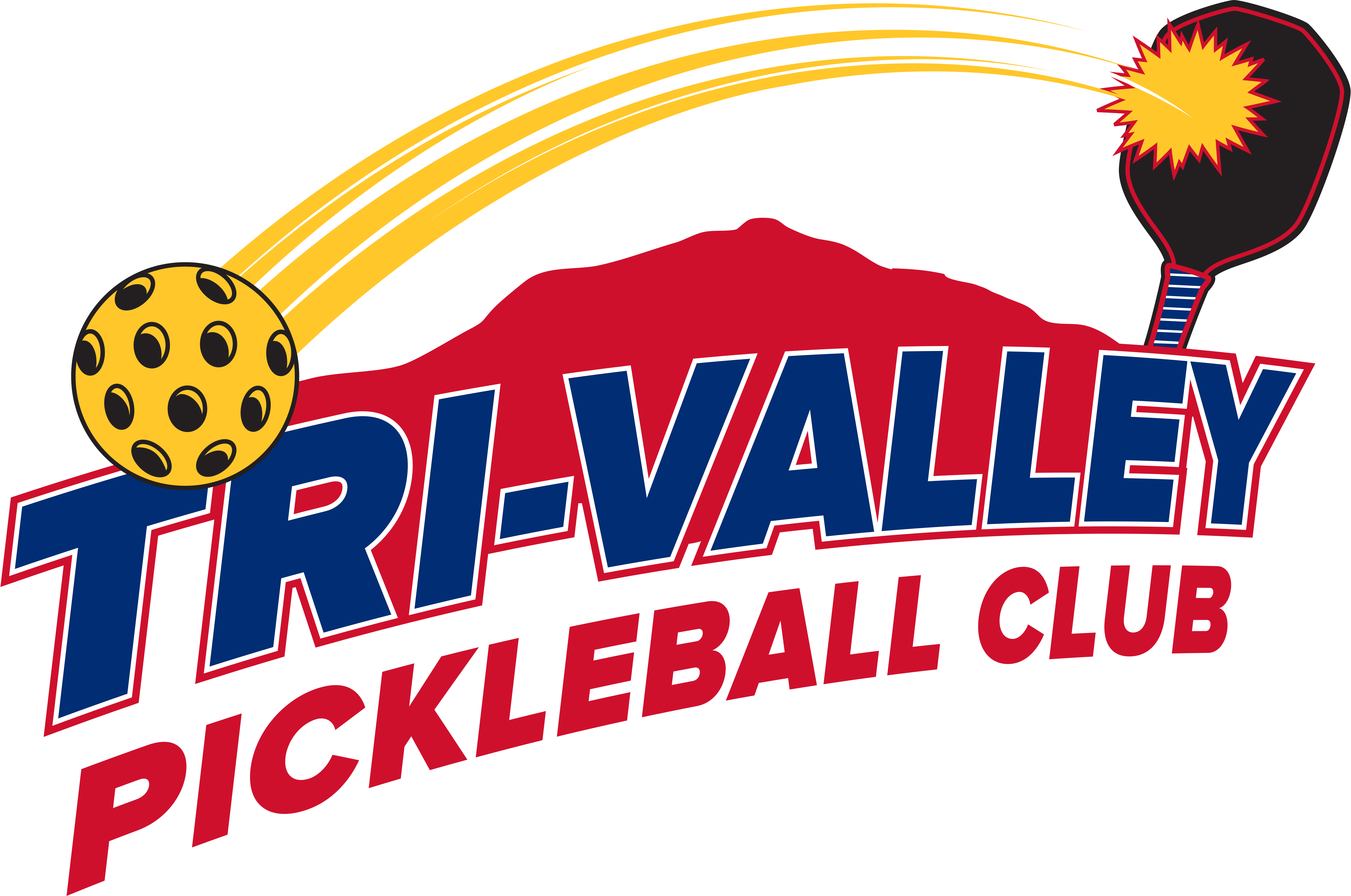 Service Champions Doubles Classic to Benefit the Valley Humane Society