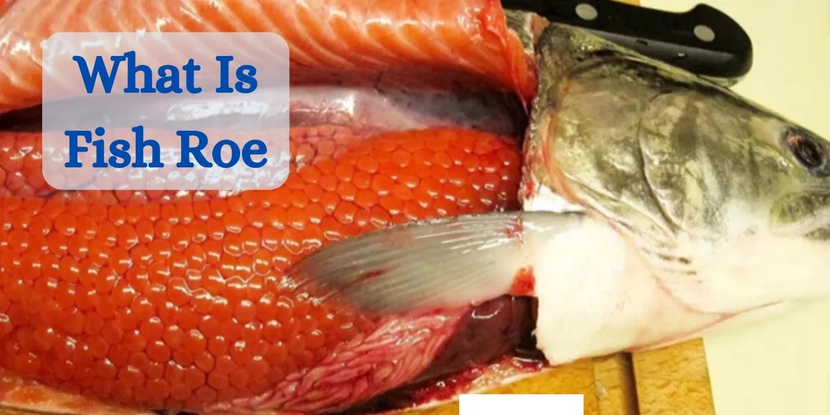 What Is Fish Roe