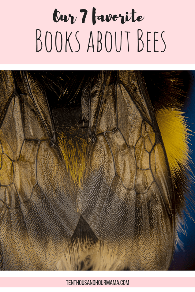The 7 best children's books about bees What we're reading