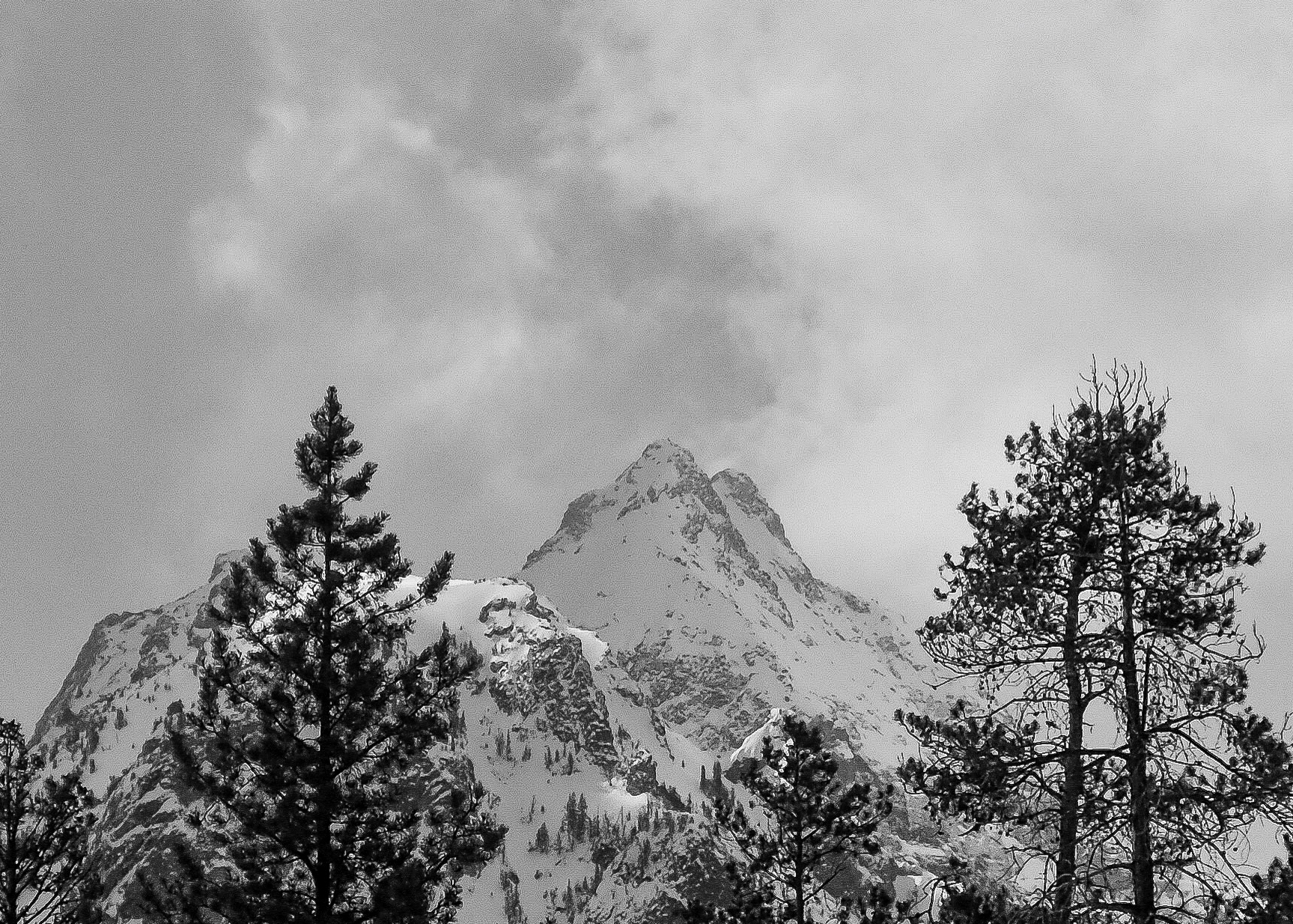 The Undercover Giant Skiing the East Face of Mount Wister (Feb. 2020