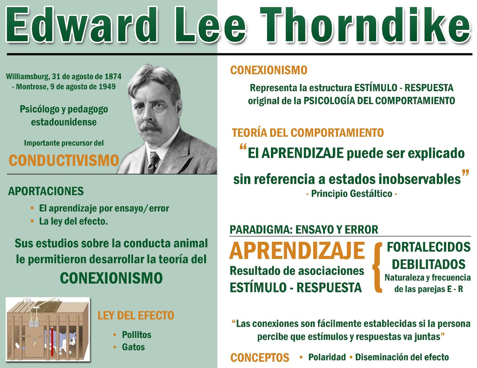 Resumen de la Teoría de Thorndike Todo lo que necesitas saber ★ Teoría