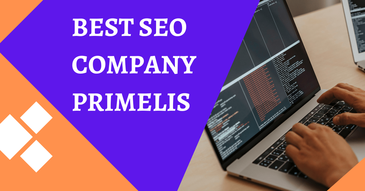 Services Offered By SEO Company Primelis TeriWall