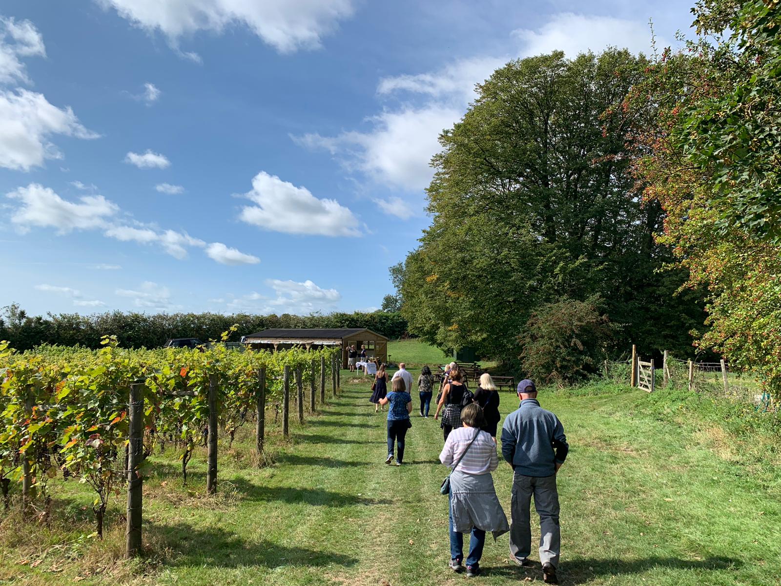 Wine Tasting Experience Terlingham Vineyard